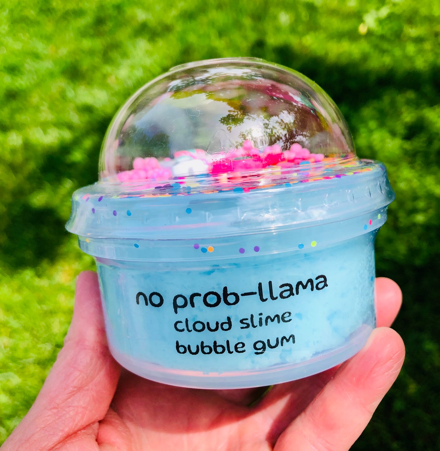 No Prob-Llama
