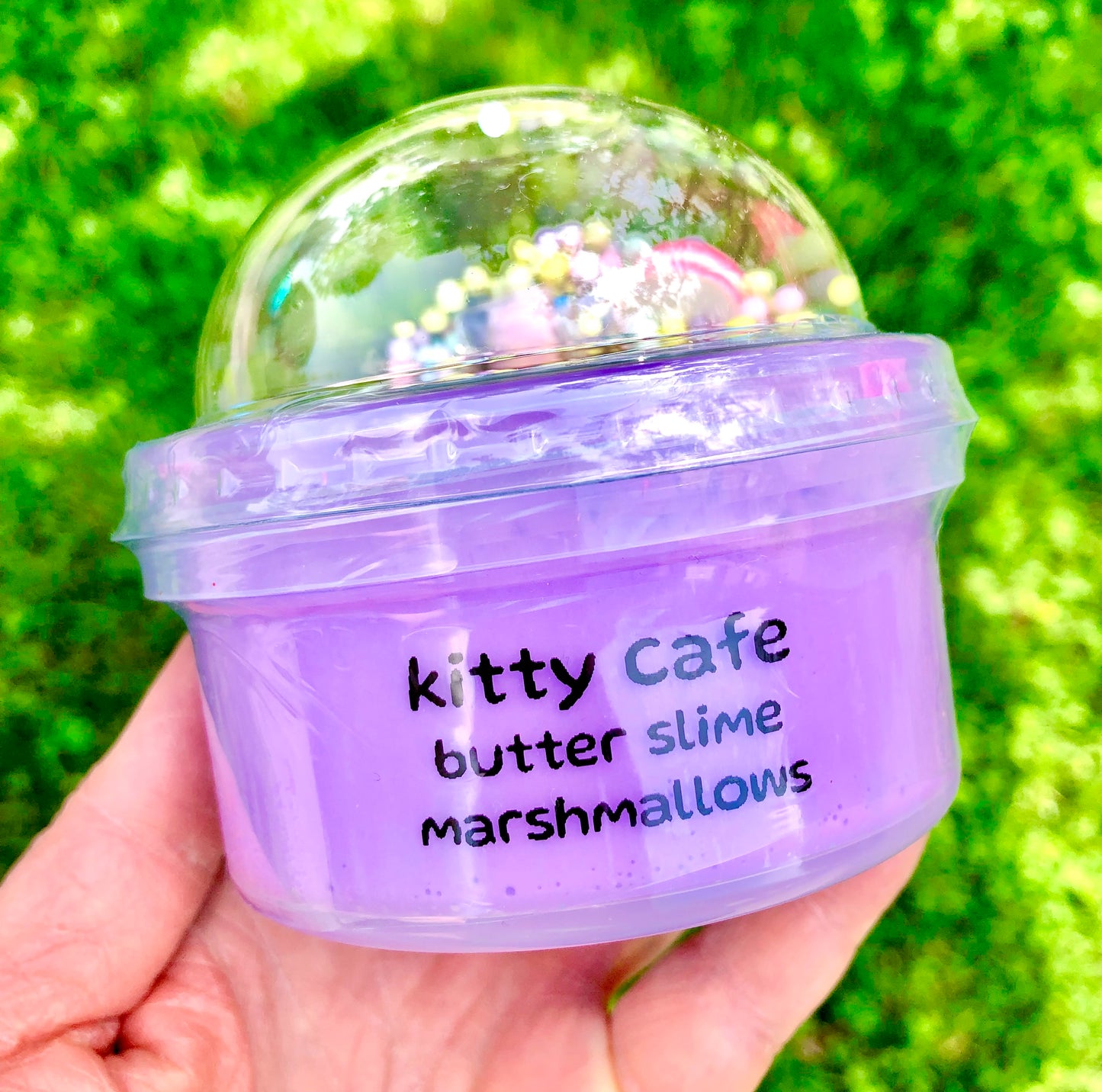 Kitty Cafe