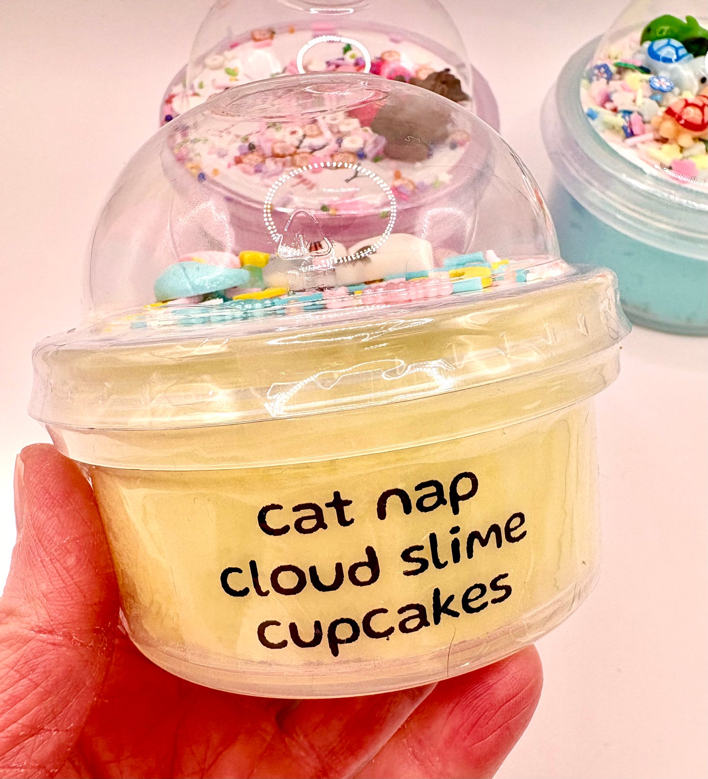 Cat Nap